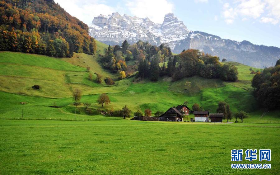 为财为爱逃出生天,“犯罪+摇滚”融合电影《阴谋与爱情》欢喜首映独播上线